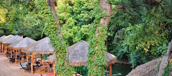 Romantic Getaway Cabin on Creek! Relax and unwind surrounded by nature! - RC10