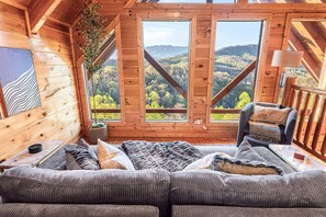 Smart TV, fireplace, video games, DVD player