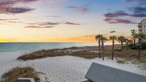 A beach with a sunset, sand, and palm trees.