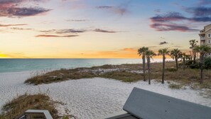 Une plage avec un banc, des palmiers et un bâtiment en arrière-plan.