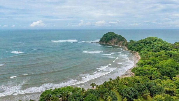 Un paysage côtier avec une plage, l’océan et une végétation luxuriante.