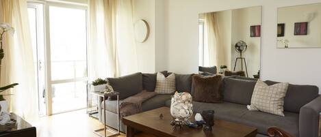 Smart TV, computer monitors, printers