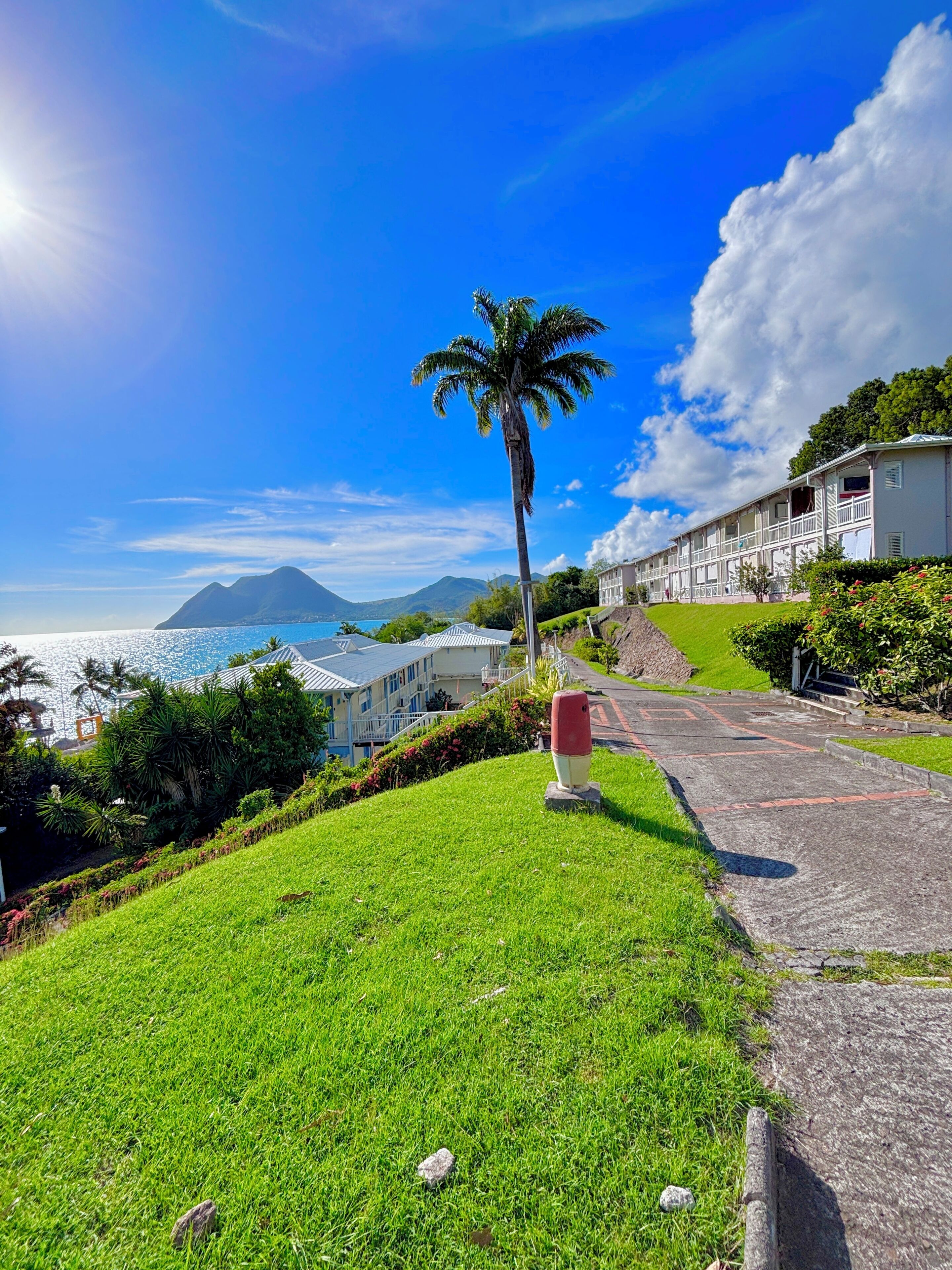 A coastal hotel with a grassy lawn, a palm tree, and a view of the ocean and mountains.