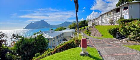 A coastal hotel with a grassy lawn, a palm tree, and a view of the ocean and mountains.