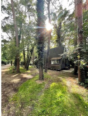 Escape to a secluded cabin surrounded by lush greenery and tall trees, offering a tranquil retreat.