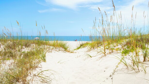A beach with sand dunes and sparse vegetation. - Beachfront | Pet Friendly | Heated Pool (Gulf Shores)