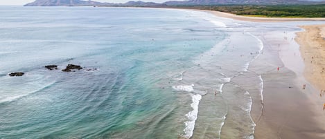 Surf/bodyboard
