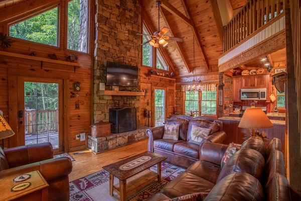 Televisión, chimenea, reproductor de DVD