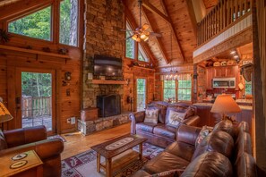 TV, fireplace, DVD player