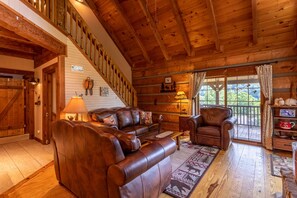 TV, fireplace, DVD player