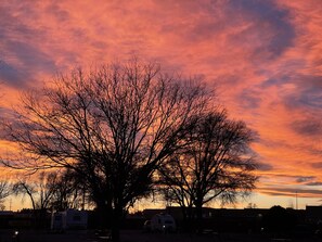 A tree silhouette against a sunset sky. - La Junta Camping & Cabins (La Junta)