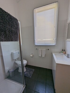 A bathroom with a toilet, bidet, and a glass shower enclosure.