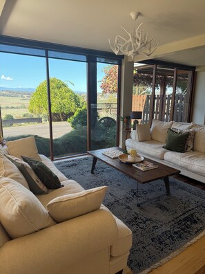 Smart TV, fireplace, books, stereo