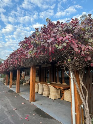 Outdoor dining - Yarra Valley Holiday House - Stay amongst the vineyards - Sleeps 12 Guests (Steels Creek)