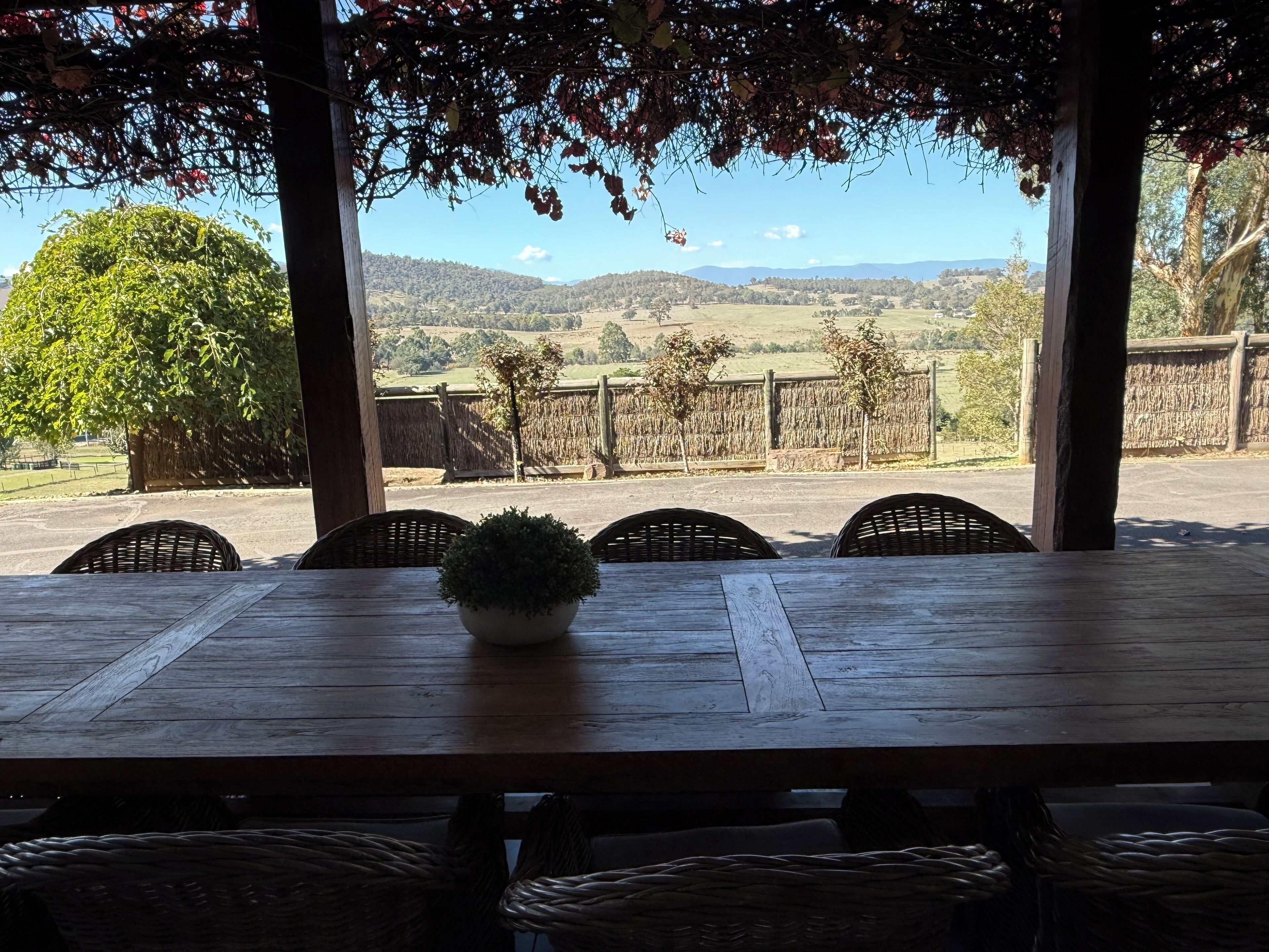 A wooden table with wicker chairs and a potted plant, overlooking a rural landscape with fields and trees.