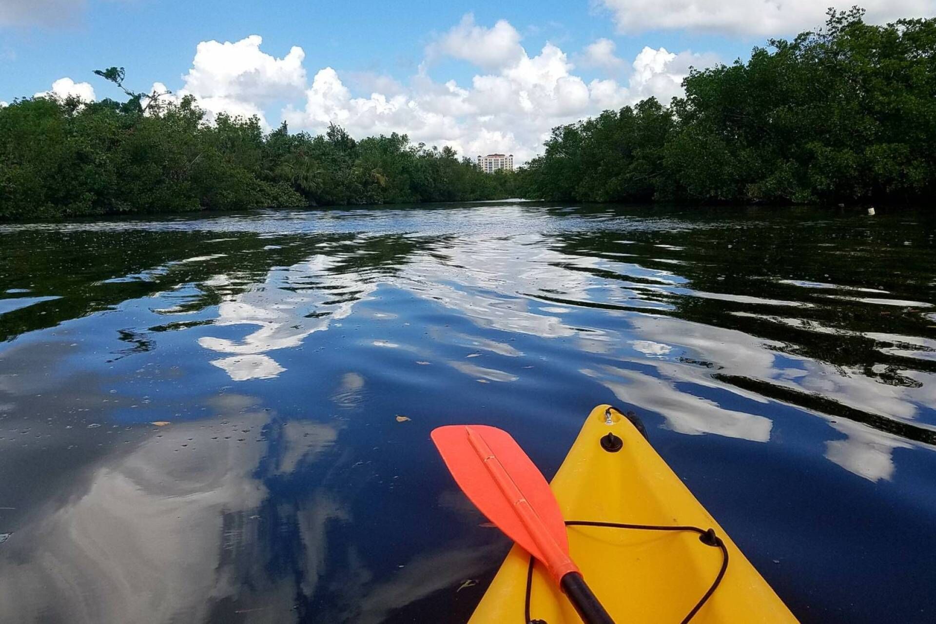 Kayaking is a great way to get up close to nature, whether in the Bay, River, or one of the area canals.
