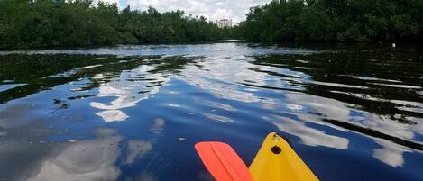 Kayaking is a great way to get up close to nature, whether in the Bay, River, or one of the area canals.