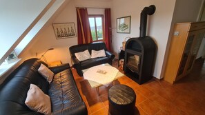 Televisión, chimenea