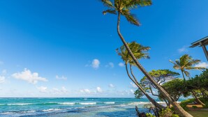 A beach with palm trees and ocean waves.