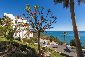 Property grounds - 1 bedroom side sea view aparment (Torrox Costa)