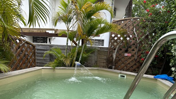 Ein Pool mit Holzterrasse und Metallleiter.