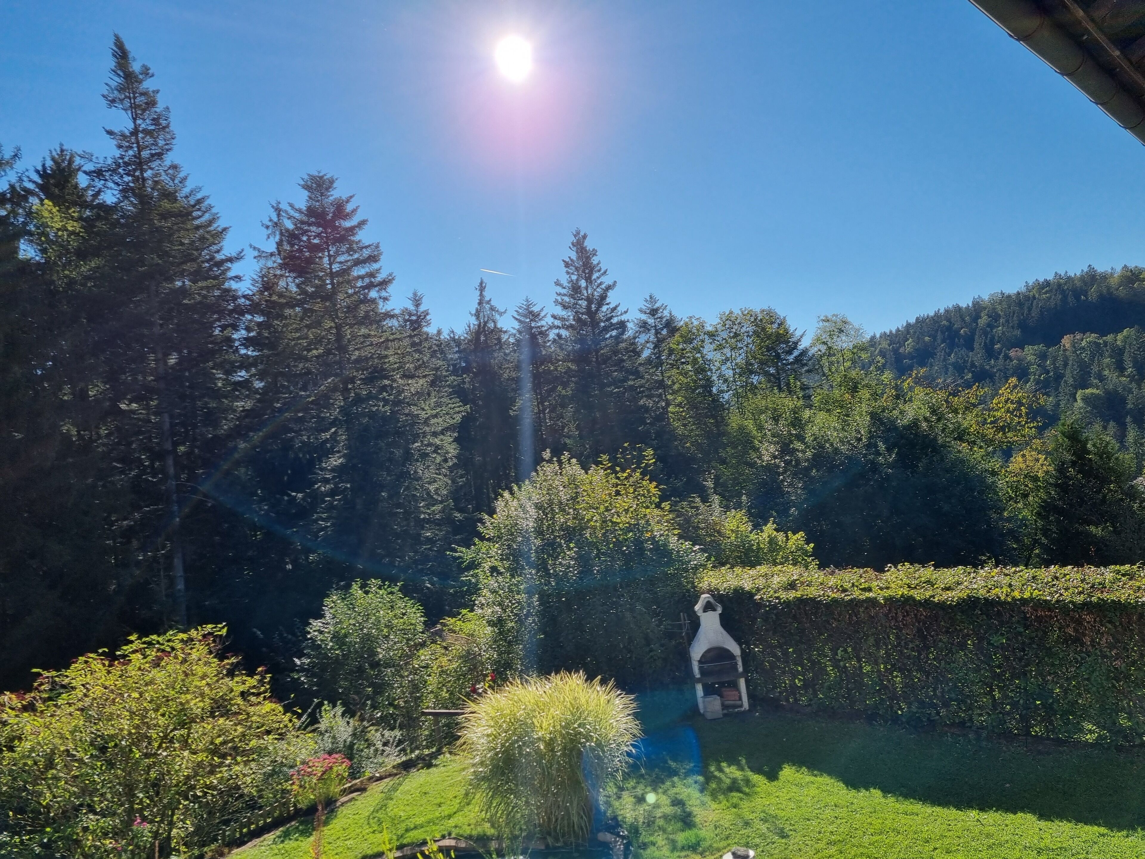 A garden with a stone structure, surrounded by trees and a clear sky.