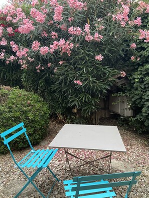A garden with a table and two blue chairs, surrounded by greenery and pink flowers.