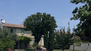 A swimming pool with a hot tub, surrounded by a stone patio and greenery. - mas (Tarascon)