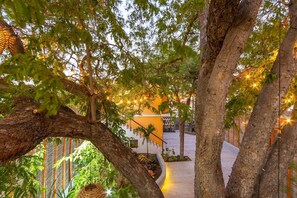 Parco della struttura