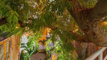 Un escalier sur lequel passe une branche d’arbre, le tout entouré d’une clôture et de plantes.