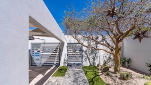 Un espace extérieur moderne agrémenté d’un chemin en béton, d’un arbre et d’un jardin de cactus.