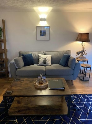 Smart TV, fireplace, video games, books