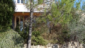 A building with a white facade and blue shutters, surrounded by dense greenery and trees.