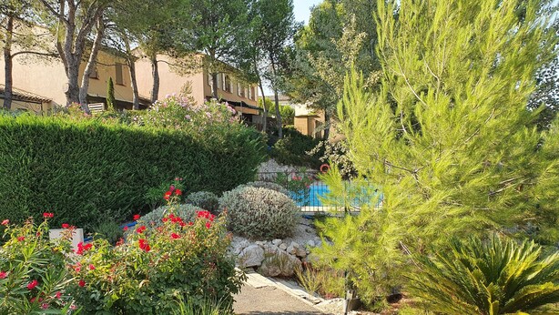 A garden path leading to a pool area with various plants and a building in the background.