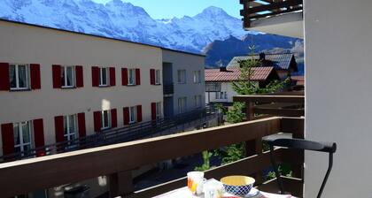 Charming and cosy apartment (sleeps 4-6 people) in a beautiful mountain village