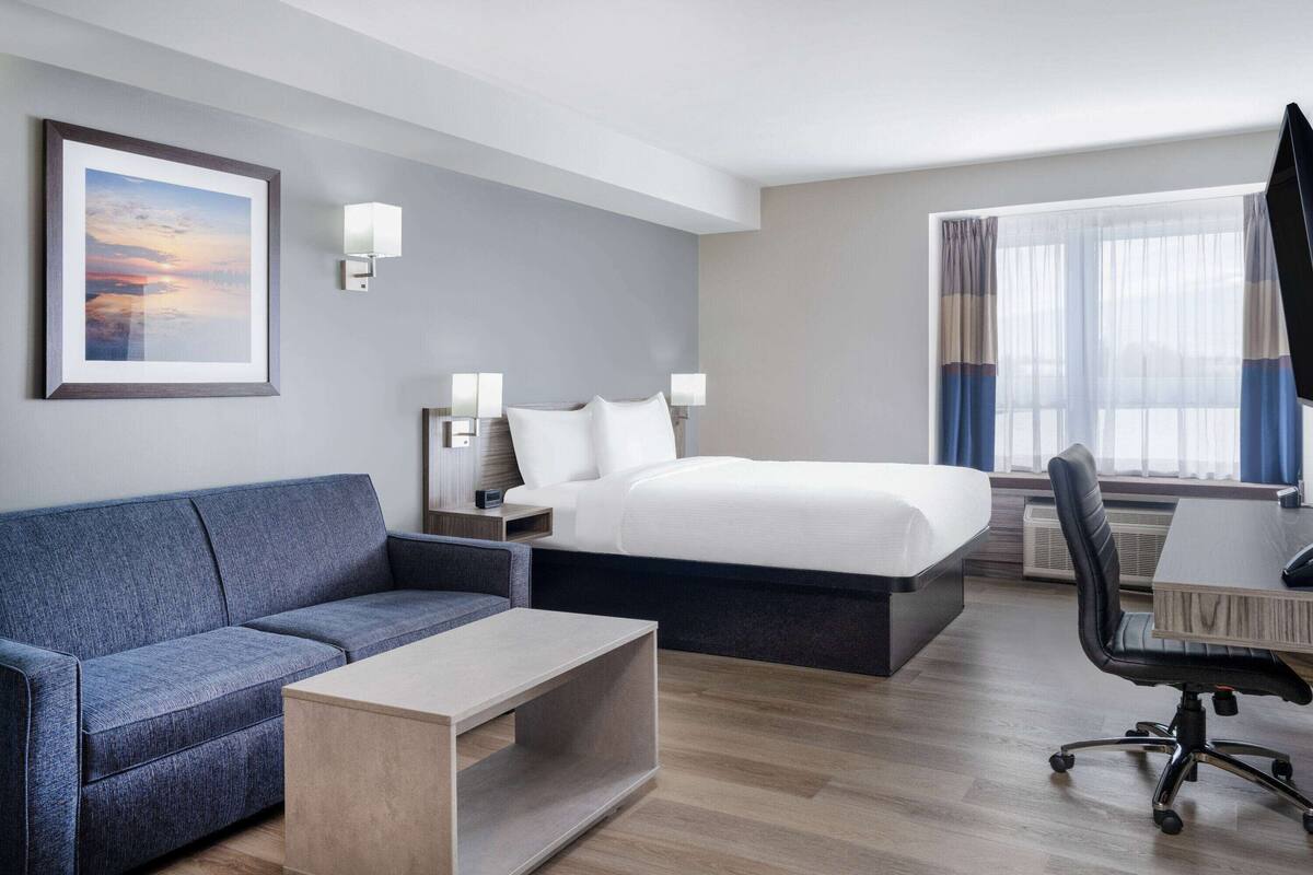 Une chambre d’hôtel avec un lit, un canapé, un bureau et une chaise.