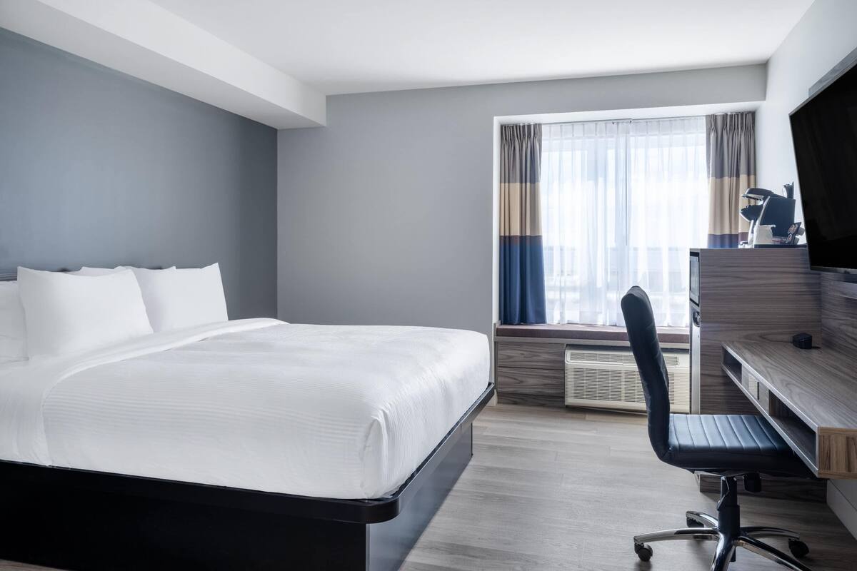 Chambre, 1 très grand lit, accessible aux personnes à mobilité réduite (Mobility Roll-In Shower)