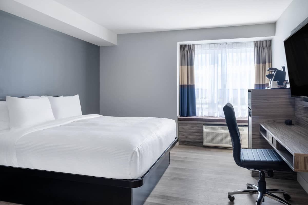 Chambre, 1 trÚs grand lit, accessible aux personnes à mobilité réduite (Mobility Roll-In Shower) | Bureau, espace de travail pour ordinateur portable, Wi-Fi gratuit