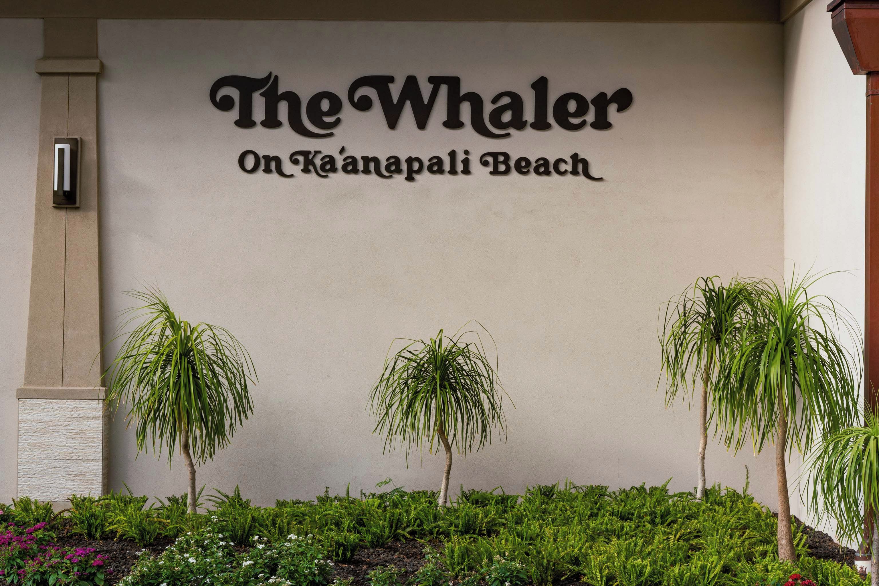 Letrero de 'The Whaler on Ka'anapali Beach' con un diseño minimalista, mostrando una pared limpia y neutra, y algunas palmeras pequeñas al frente.