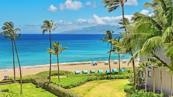 Vista de playa con palmeras, cielo despejado y una montaña a lo lejos.