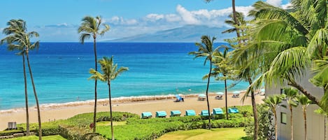 A beach view with palm trees, a clear sky, and a distant mountain.