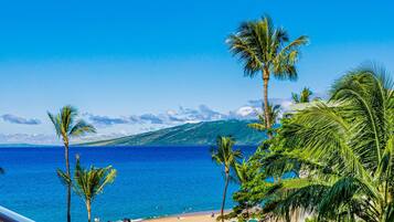 Studio | Terrain de l’hébergement