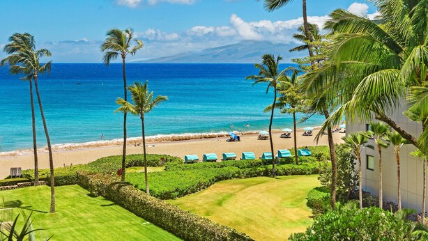 A beach view with palm trees, a clear sky, and a golf course.