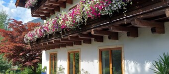 Spacious apartment to relax in quiet neighborhood