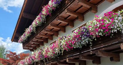 Spacious apartment to relax in quiet neighborhood