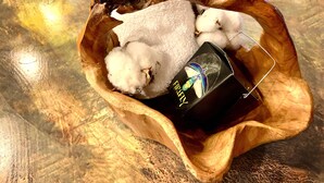 Un bol en bois contenant des boules de coton et une boîte étiquetée « Premièrement ».