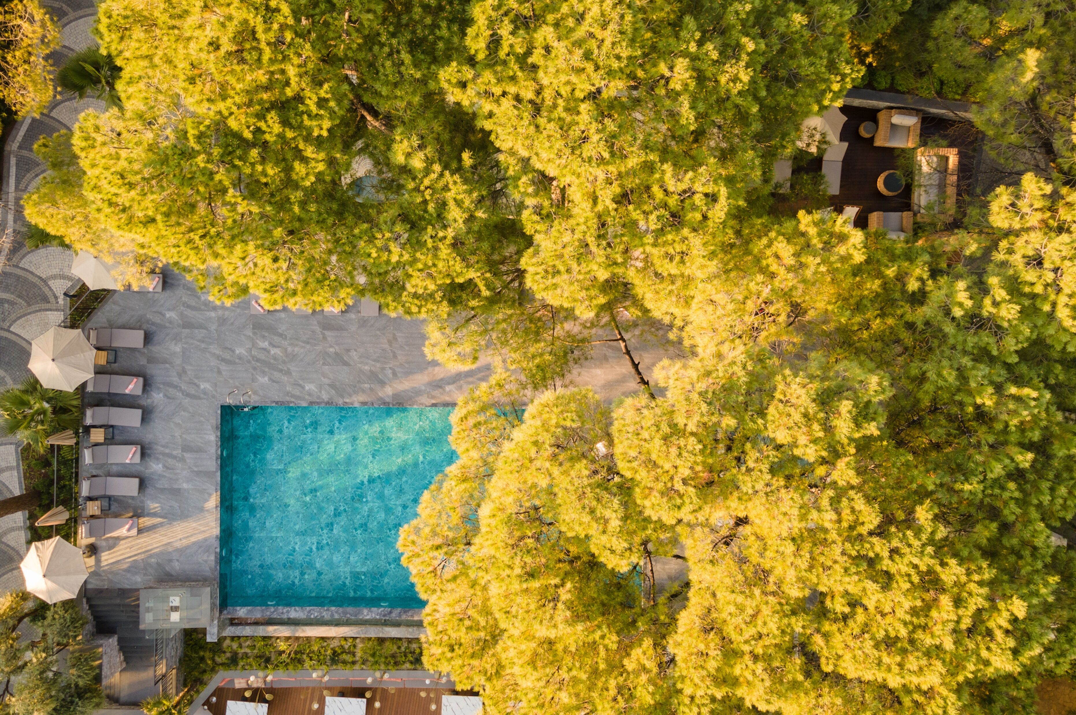 An aerial view of a resort with a swimming pool surrounded by lush greenery and outdoor seating areas.