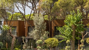 Un edificio moderno con fachada de madera, rodeado de un jardín cuidado con diversas árboles y arbustos.