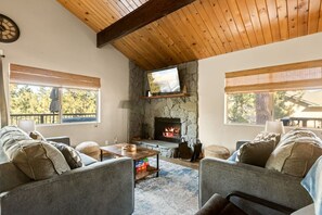 TV, fireplace