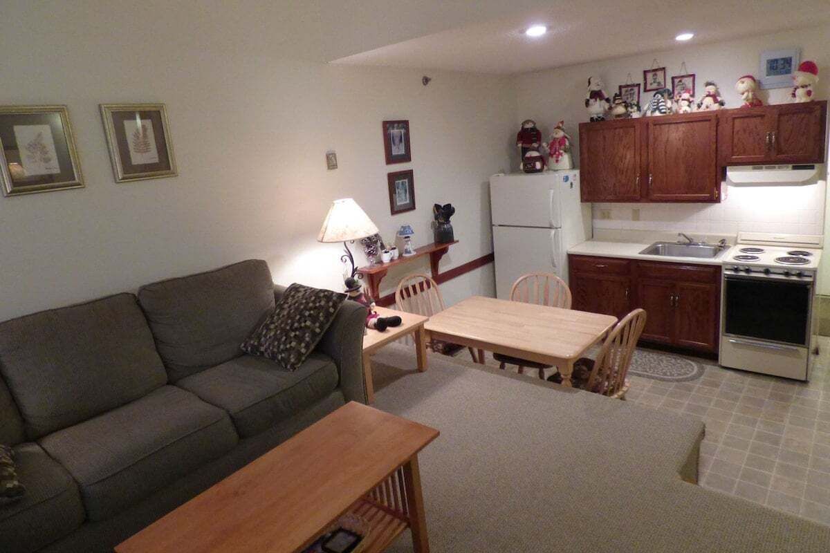 A compact living space with a sofa, a dining table, a kitchen area with cabinets and appliances, and a small rug.